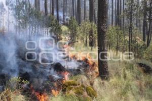 INCENDIO . TLAHUAPAN