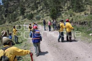 INCENDIO . TLAHUAPAN