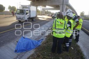 ACCIDENTE . ATROPELLADO EN AUTOPISTA