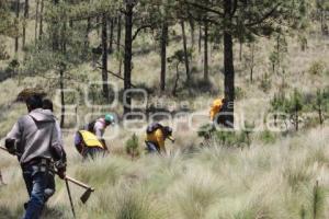 INCENDIO . TLAHUAPAN