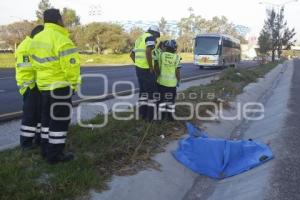 ACCIDENTE . ATROPELLADO EN AUTOPISTA