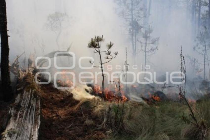 INCENDIO . TLAHUAPAN