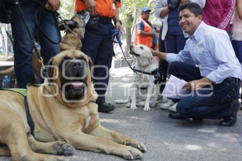 CAMPAÑA . EDUARDO RIVERA