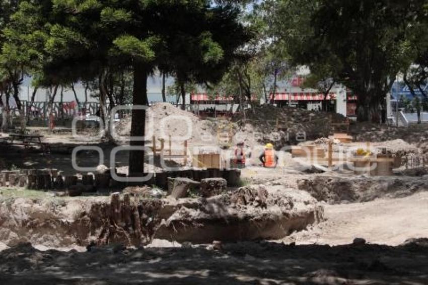 REHABILITACIÓN PARQUE JUÁREZ