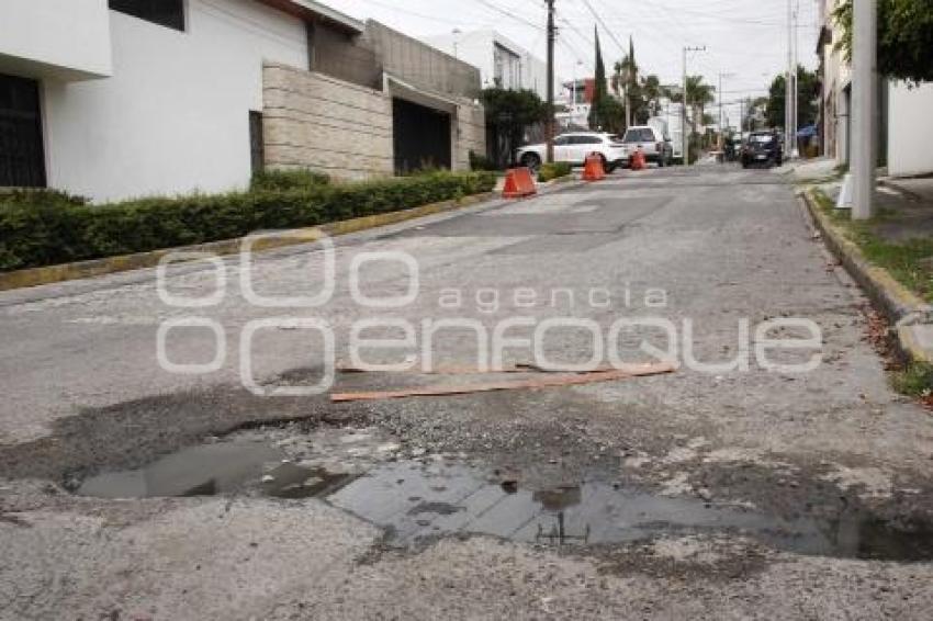 BACHES