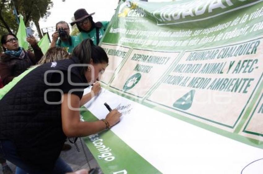 PARTIDO VERDE . CAMINATA PERRUNA