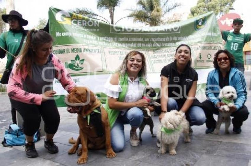 PARTIDO VERDE . CAMINATA  PERRUNA