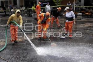 LIMPIEZA ZÓCALO