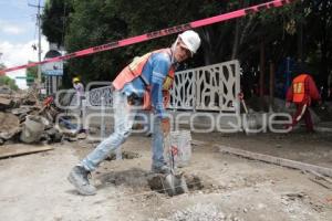 REHABILITACIÓN PARQUE JUÁREZ