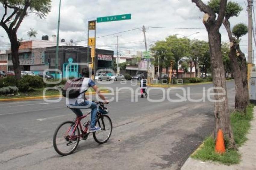 OPOSICIÓN CICLOVÍA 9 SUR