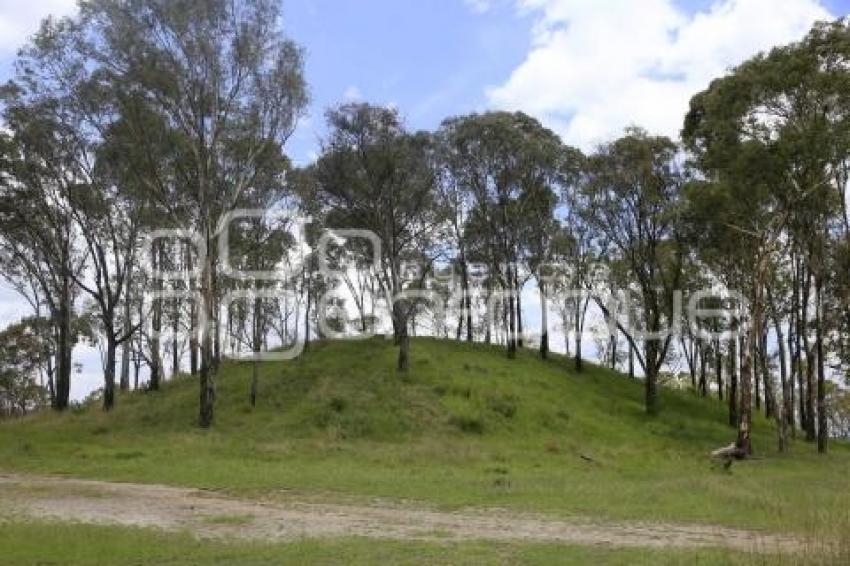 CERRO DE AMALUCAN . HALLAZGO