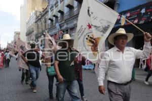 MANIFESTACIÓN . 28 DE OCTUBRE