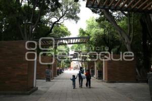 REHABILITACIÓN PASEO BRAVO
