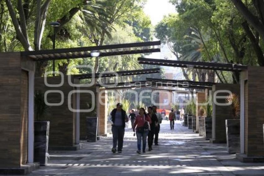 REHABILITACIÓN PASEO BRAVO