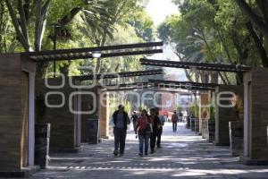 REHABILITACIÓN PASEO BRAVO