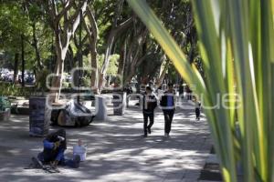 REHABILITACIÓN PASEO BRAVO