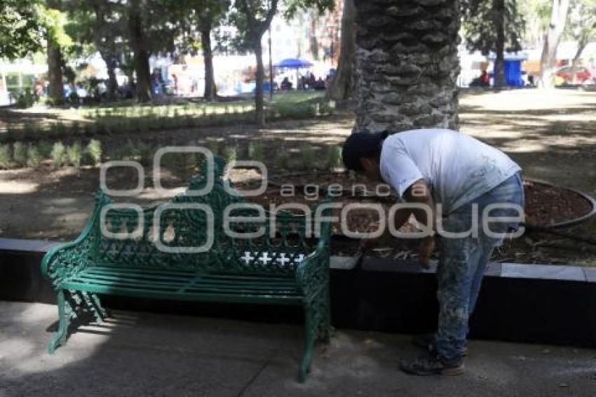 REHABILITACIÓN PASEO BRAVO