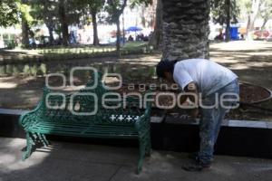 REHABILITACIÓN PASEO BRAVO