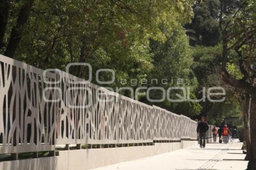 REHABILITACIÓN PARQUE JUÁREZ