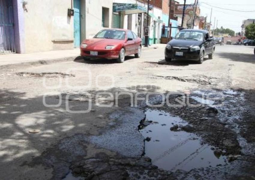 BACHES