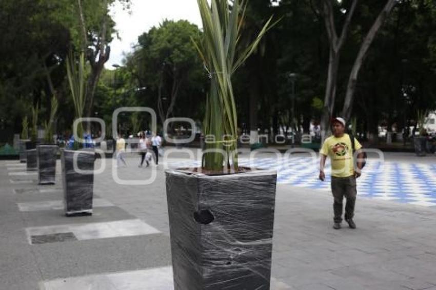 REHABILITACIÓN PASEO BRAVO