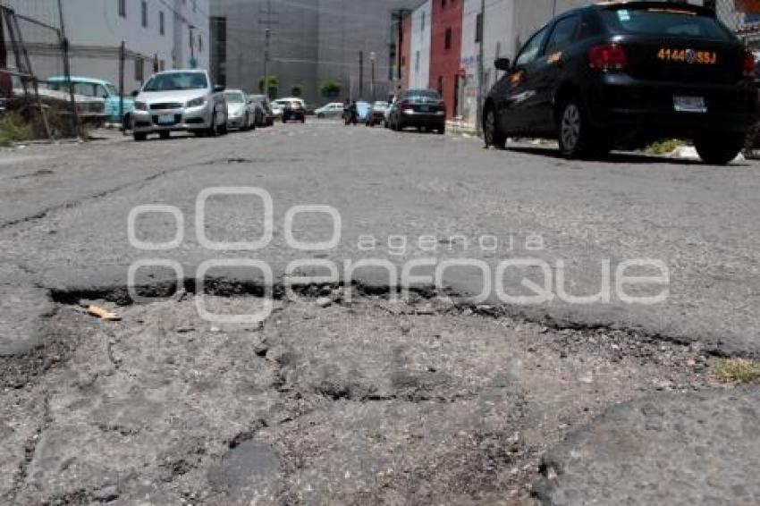 BACHES