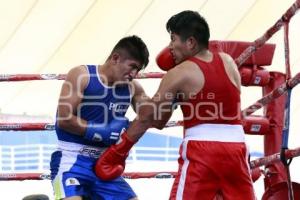 TORNEO DE LOS BARRIOS DE BOX