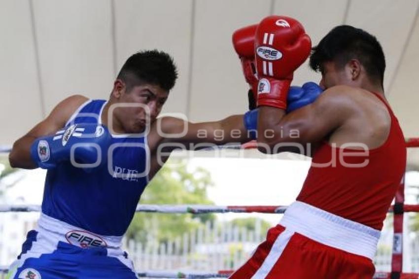 TORNEO DE LOS BARRIOS DE BOX