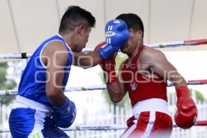 TORNEO DE LOS BARRIOS DE BOX