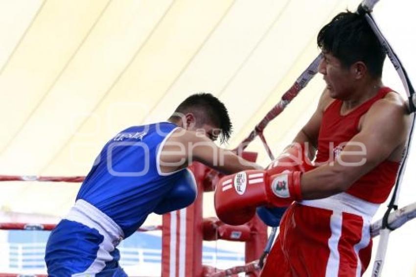 TORNEO DE LOS BARRIOS DE BOX