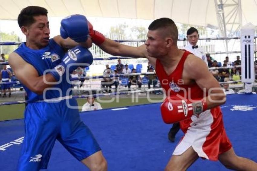 TORNEO DE LOS BARRIOS DE BOX