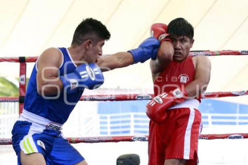 TORNEO DE LOS BARRIOS DE BOX