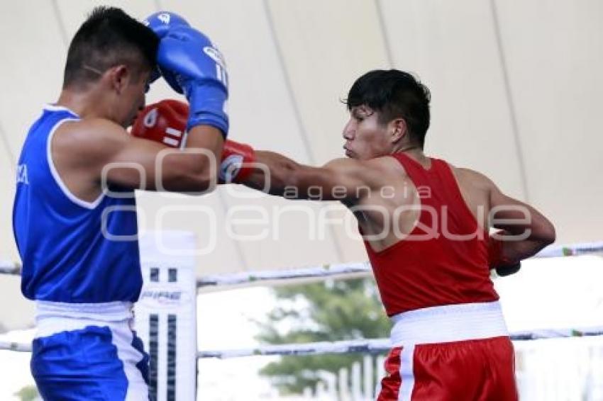 TORNEO DE LOS BARRIOS DE BOX