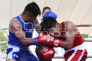 TORNEO DE LOS BARRIOS DE BOX