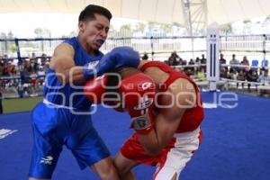 TORNEO DE LOS BARRIOS DE BOX