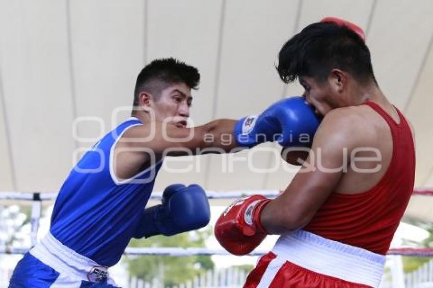 TORNEO DE LOS BARRIOS DE BOX