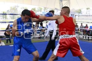 TORNEO DE LOS BARRIOS DE BOX