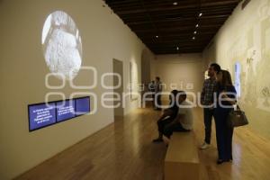 NOCHE DE MUSEOS