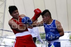 TORNEO DE LOS BARRIOS DE BOX