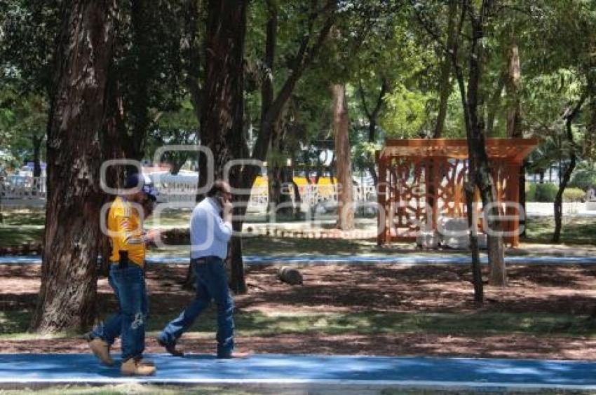 REHABILITACIÓN PARQUE JUÁREZ