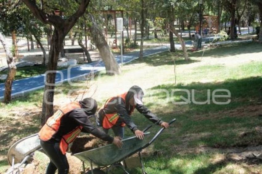 REHABILITACIÓN PARQUE JUÁREZ