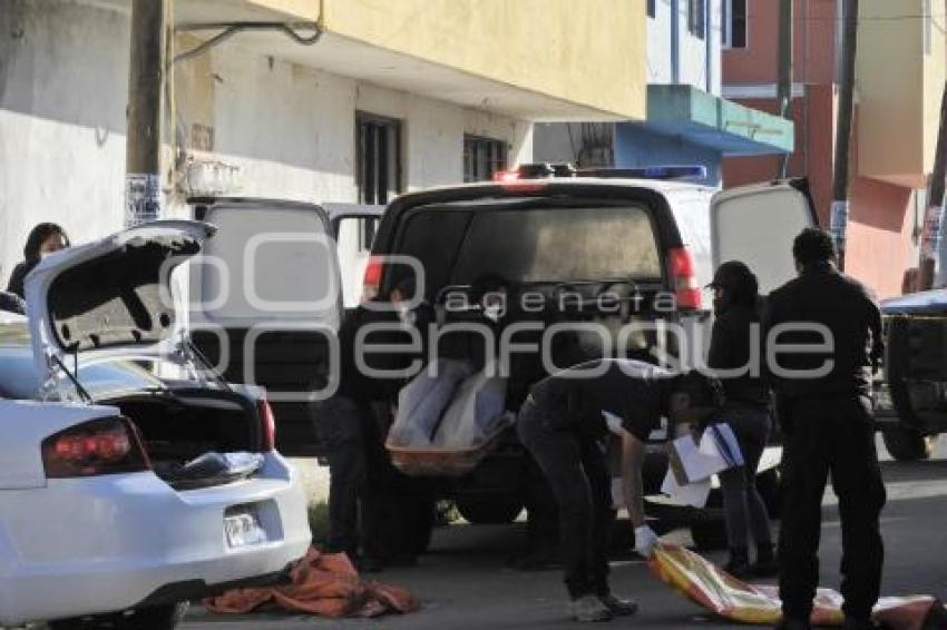 BALEADO . BOSQUES DE MANZANILLA