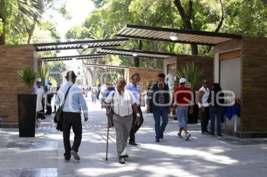 REHABILITACIÓN PASEO BRAVO
