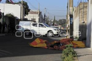 BALEADO . BOSQUES DE MANZANILLA