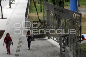 REHABILITACIÓN PARQUE JUÁREZ