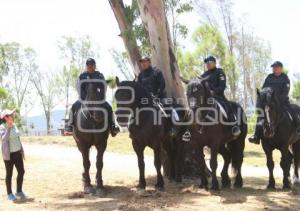 SEGURIDAD . PARQUE AMALUCAN