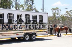 SEGURIDAD . PARQUE AMALUCAN