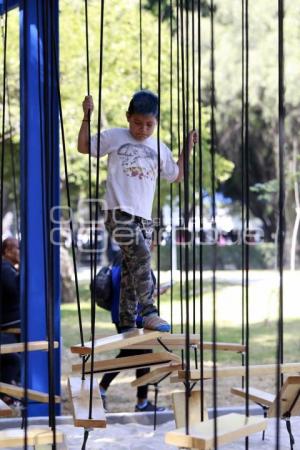 REHABILITACIÓN PARQUE JUÁREZ