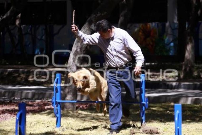 PARQUE DE MASCOTAS . PARQUE JUÁREZ