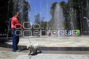 REHABILITACIÓN PARQUE JUÁREZ